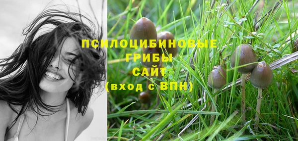 твердый Богородск
