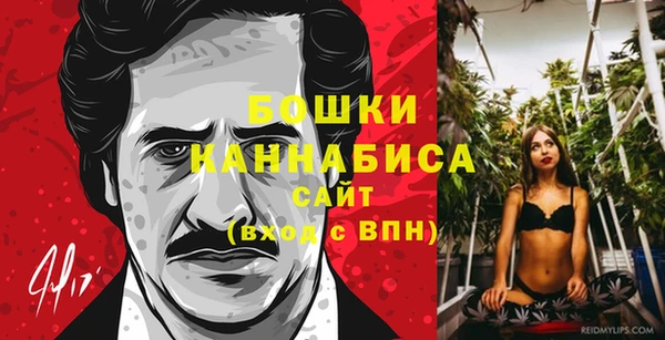 гашиш Богданович