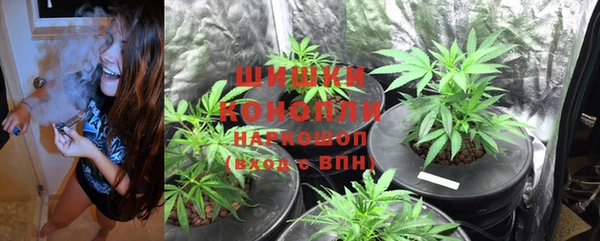 гашиш Богданович
