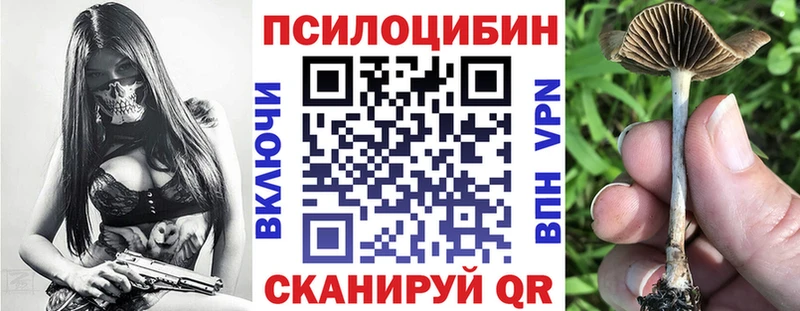 где продают   Улан-Удэ  Галлюциногенные грибы ЛСД 
